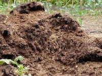 Organic manure