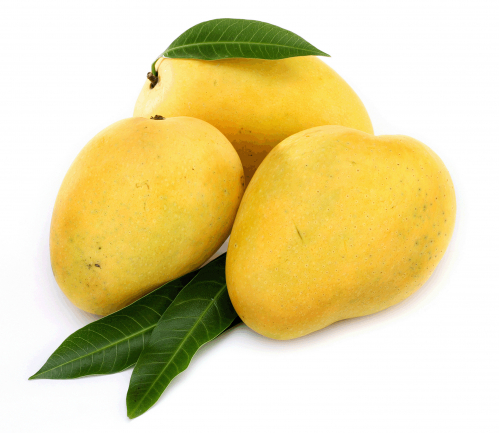 Dasheri Mangoes