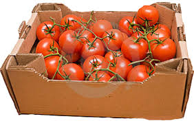 Tomato-organic