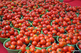 Tomato processing