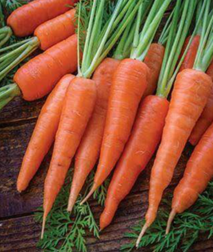 Organic Baby Carrot