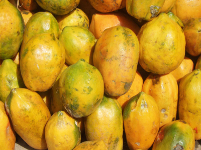 Papaya