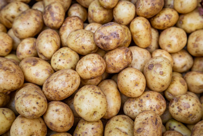 Potato