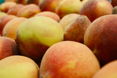 Rose peach