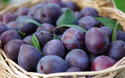 Peaches plums